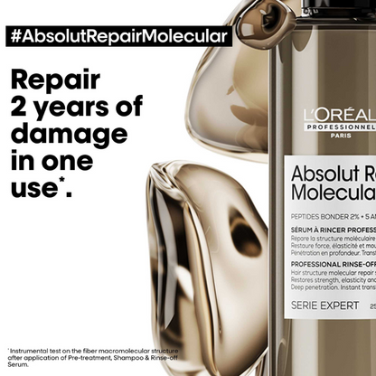 Absolut Repair Molecular Duo Set 2024 for damaged hair