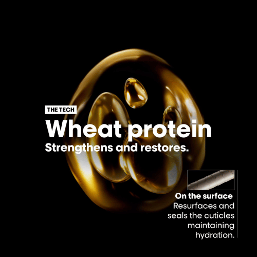 L'Oréal Absolut Repair Gold Shampoo 500 ml